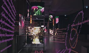 Hito Steyerl. I will survive