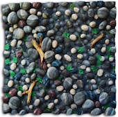 Verre chez Brigitte et Denis Salama