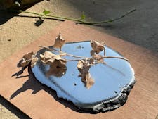 Rencontre avec Pratchaya Phinthong