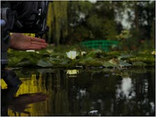 Marine Hugonnier, le cinéma à l'estomac