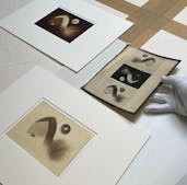 GAP // Découverte des trésors de la collection de photographies