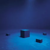 Marina Gadonneix / Lynn Cohen