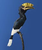 Vincent Fournier, Uchronie