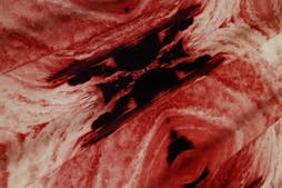 Resilient Currents: On Communal Re-Existence