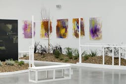 Signal. Mohamed Bourouissa