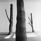 VIP Programme Art Basel - Arte Povera