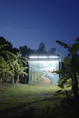 VIP Programme Art Basel - Apichatpong Weerasethakul