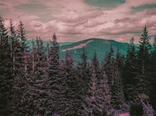 2e edition of Jeu de Paume  festival: "Paysages mouvants"