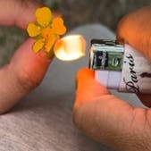 Duo exhibition by Tohé Commaret and Grichka Commaret 