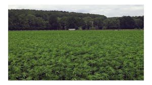 IC, GAX, MR // Day Trip at the Maison Louis Carré & 91530 Le Marais