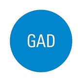 GAD Perspective Meeting