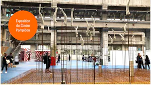 Constellation - Day trip in Lyon