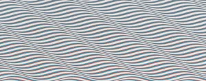 Bridget Riley
