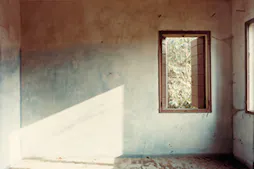 Guido Guidi, Col temp, 1956-2024