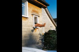 MEP / Exposition Erwin Wurm