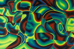 Visit the collections