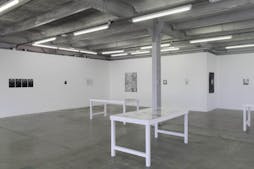 Jardin d’hiver – Jochen Lempert