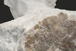 Orsay seen by Christodoulos Panayiotou & Degas at the Opera