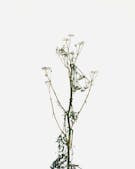 Versailles – Visible / Invisible