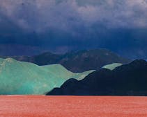 Festival Circulation(s)