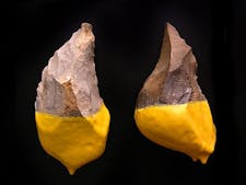 Préhistoire – Exclusivité Perspective