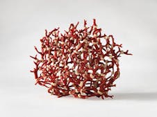 Meeting with Hubert Duprat – GAAC Exclusivity