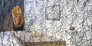 Journée à Saint-Etienne – Exclusivité GAD