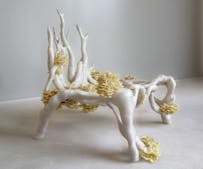 Designing the Living