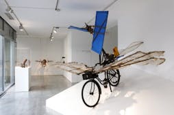 L’envol, ou le rêve de voler